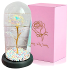 Amžina Rožė Stiklinėje su LED Apšvietimu