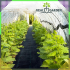 Agroplėvelė 90g 5x5m Juoda UV Agrotinklinė Apsauginė Kilimėlis