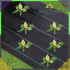 Agroplėvelė nuo piktžolių, 3,2 m x 10 m, 140 g/m², juoda