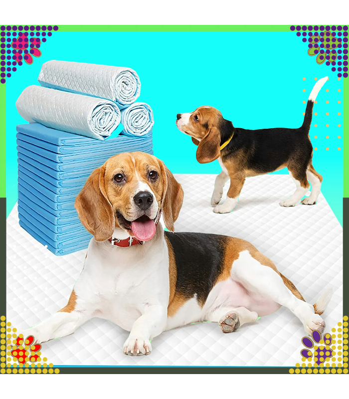 Higieniniai kilimėliai šunims mokytis tuštintis XL 60x90 cm 50 vnt.