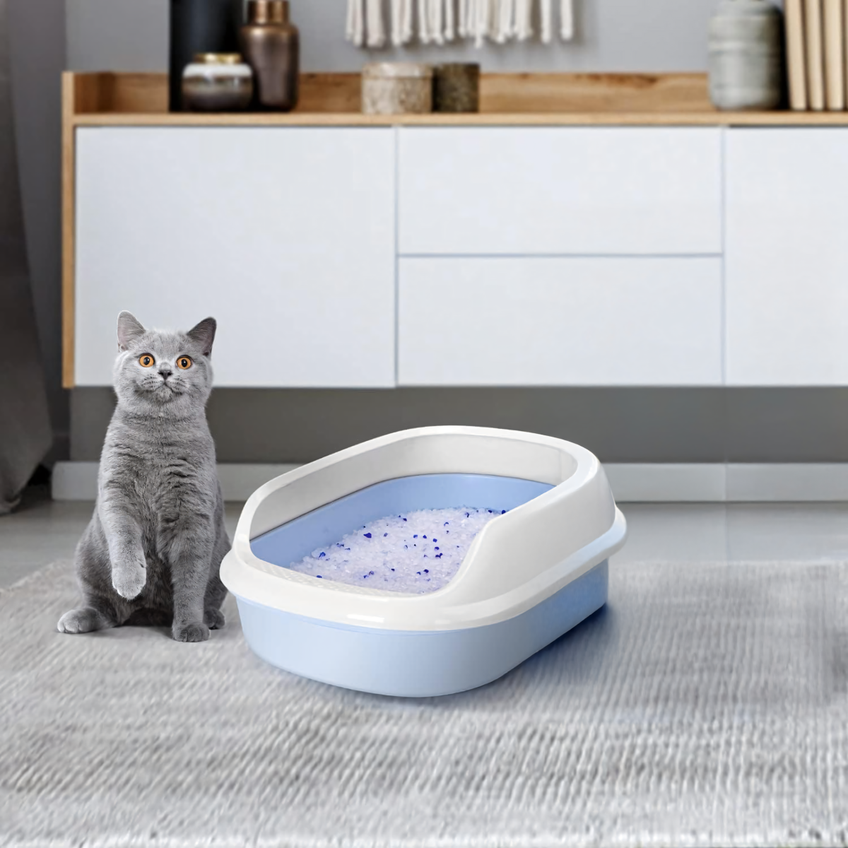 Silikoninis kraikas katėms 1,5 kg