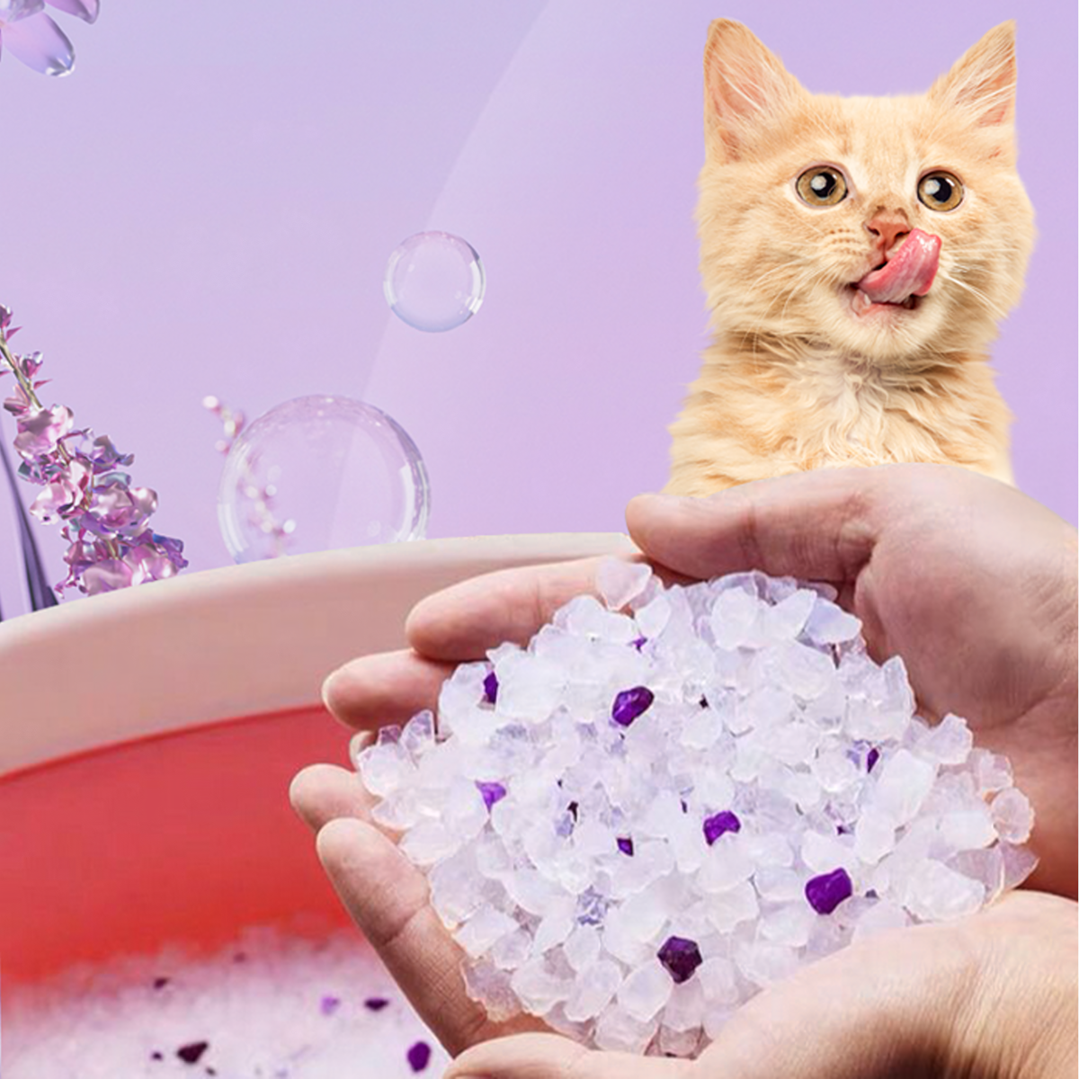 Silikoninis kraikas katėms 1,5 kg