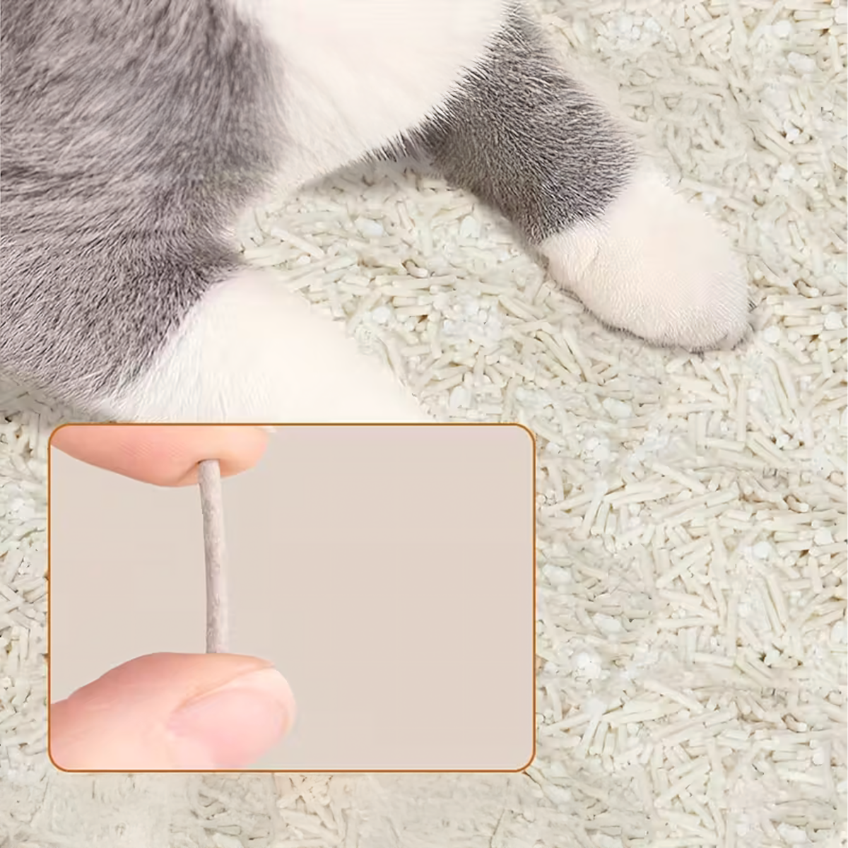 Žirnių kraikas katėms, 2,5 kg