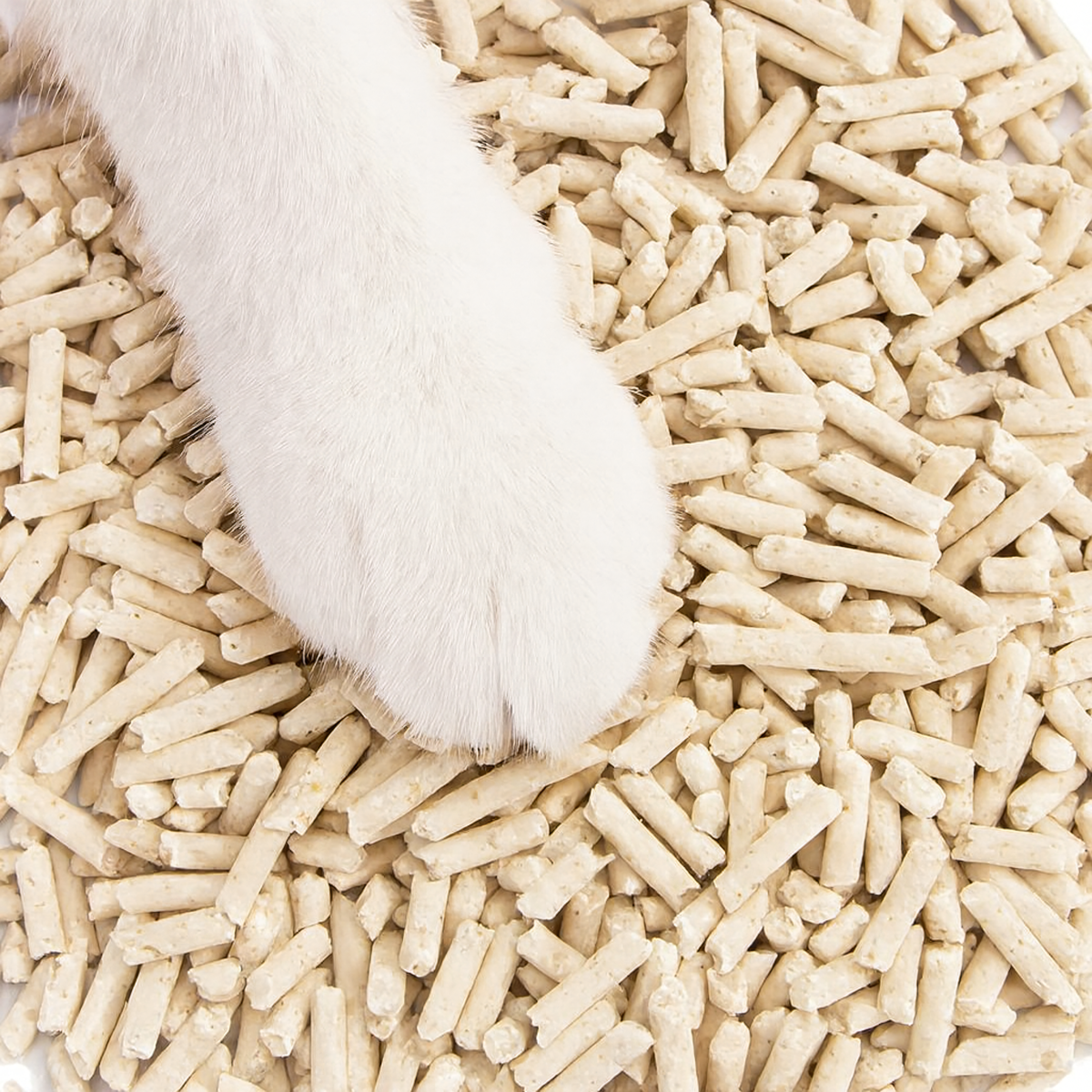 Žirnių kraikas katėms, 2,5 kg