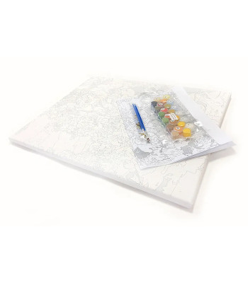 Tapyba pagal skaičius su rėmeliu 40 x 50 cm – aukštos kokybės rinkinys "Delfinai"