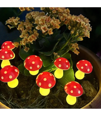 Saulės šviestuvai grybukai