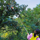 Obuolių Skynimo Krepšys