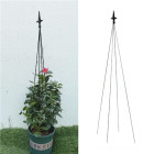 Metalinis Pergolos Stovas Augalams 150 cm