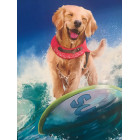 Diamentinis tapyba rinkinys 5D