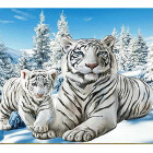Diamentinis Siuvinėjimas - Sniego Tigrų Motyvas