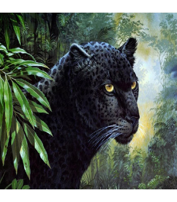 Diamentinis Tapybos Rinkinys