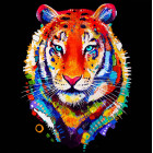 Diamentinė Tapyba - Lūto Mozaikos Rinkinys 5D 52