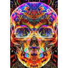 Deimantinė Mozaika 5D Rinkinys 63