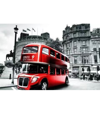 Diamond Painting Diamentinė Mozaika Rinkinys 5D 83