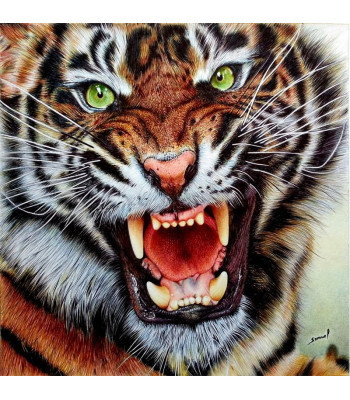 Diamantinės Mozaikos Rinkinys - Liūtas