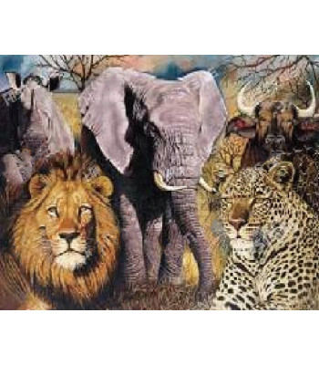 Diamentinio Siuvinėjimo Mozaikos Rinkinys 5D - 128