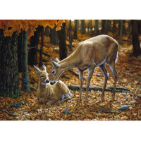 Deimantinė Mozaika Rinkinys 5D Drobė Rėmas 30x40