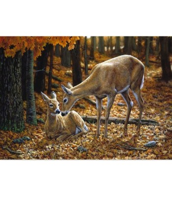 Deimantinė Mozaika Rinkinys 5D Drobė Rėmas 30x40