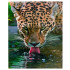 Tapyba Pagal Skaičius su Rėmeliu 30 x 40 cm – Aukštos Kokybės Rinkinys Tapybai Leopardas
