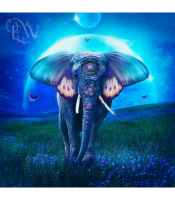 Deimantinė Tapyba Mozaikos Rinkinys 5D