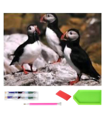 Didelis Deimantinis Siuvinėjimas 120x60