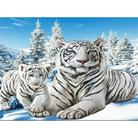 Diamond Painting Haftas - Poliarinių Tigrų Mozaika