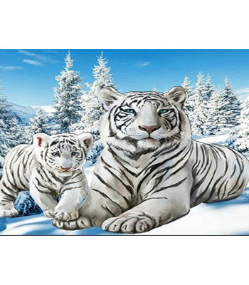 Diamond Painting Haftas - Poliarinių Tigrų Mozaika