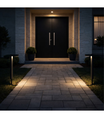 2 saulės energijos sodo LED šviestuvai įsmeigiami 55 cm su prieblandos jutikliu