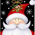 deimantinės mozaikos rinkinys 5d „kalėdų senelis“ 30 x 30 cm