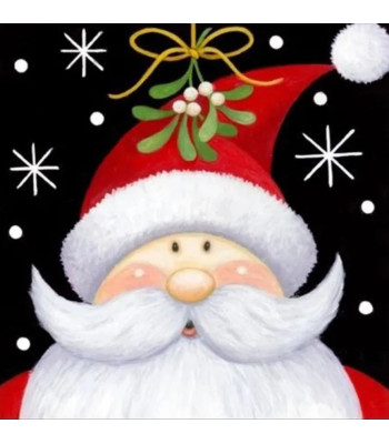 deimantinės mozaikos rinkinys 5d „kalėdų senelis“ 30 x 30 cm