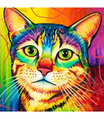 deimantinės mozaikos rinkinys 5d spalvotas katinas 30 x 30 cm