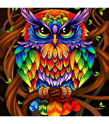 deimantinės mozaikos rinkinys 5d spalvota pelėda 40 x 50 cm