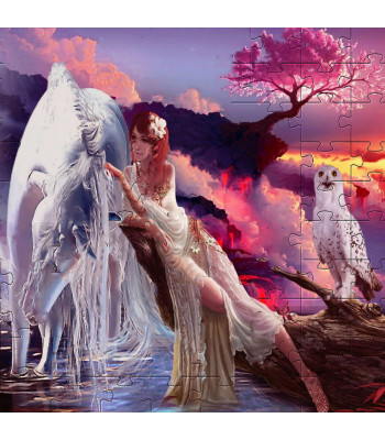 deimantinės mozaikos rinkinys 5d automobilis 50 x 65 cm