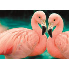 deimantinės mozaikos rinkinys 5d su gyvūnų motyvu 20 x 30 cm