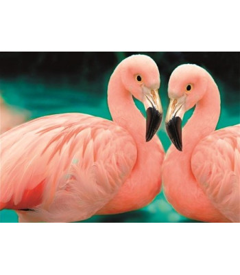 deimantinės mozaikos rinkinys 5d su gyvūnų motyvu 20 x 30 cm