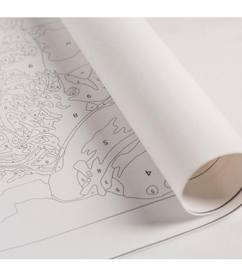 tapyba pagal skaičius vaikams su rėmu 30x30 cm