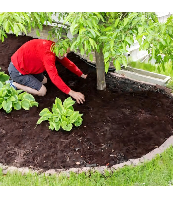 agrodanga nuo piktžolių 70 g/m², 1,1 x 50 m, juoda, su uv apsauga, 100 vnt.