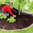 100 vnt. juoda agrodanga 70 g/m², 1,6 x 50 m, su uv apsauga