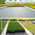 Juodas agroaudinys nuo piktžolių 140 g/m², 1,6 x 50 m, su apsauga nuo ultravioletinių spindulių