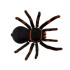 Nuotoliniu būdu valdomas didelis realistiškas tarantulas RC0251