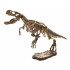 T-REX 3D skeletas kasinėjimų rinkinys