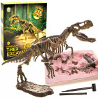 T-REX 3D skeletas kasinėjimų rinkinys