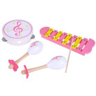 Medinis instrumentų rinkinys: ksylofonas, tamburinas IN0085