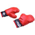 Bokso rinkinys pirštinės + krepšys SP0565
