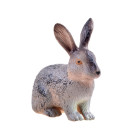 SERIA GYVŪNAI ŪKIS Figūrėlė triušis kiškis KOLEKCIJA ZA3383