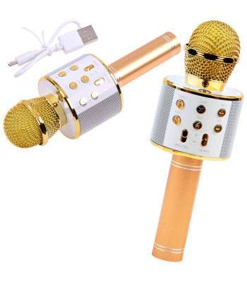 Belaidis karaoke mikrofonas su garsiakalbiu ir balso moduliacija