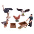 Rankų darbo figūrų rinkinys „Stručių ferma“