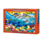Dėlionė 1000 detalių 'Delfinai tropikuose' C-104611