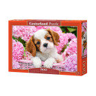 Puzzle 500 detalių Šuniukas Rožinėse Gėlėse