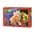 Puzzle 500 el. Ginger Kitten